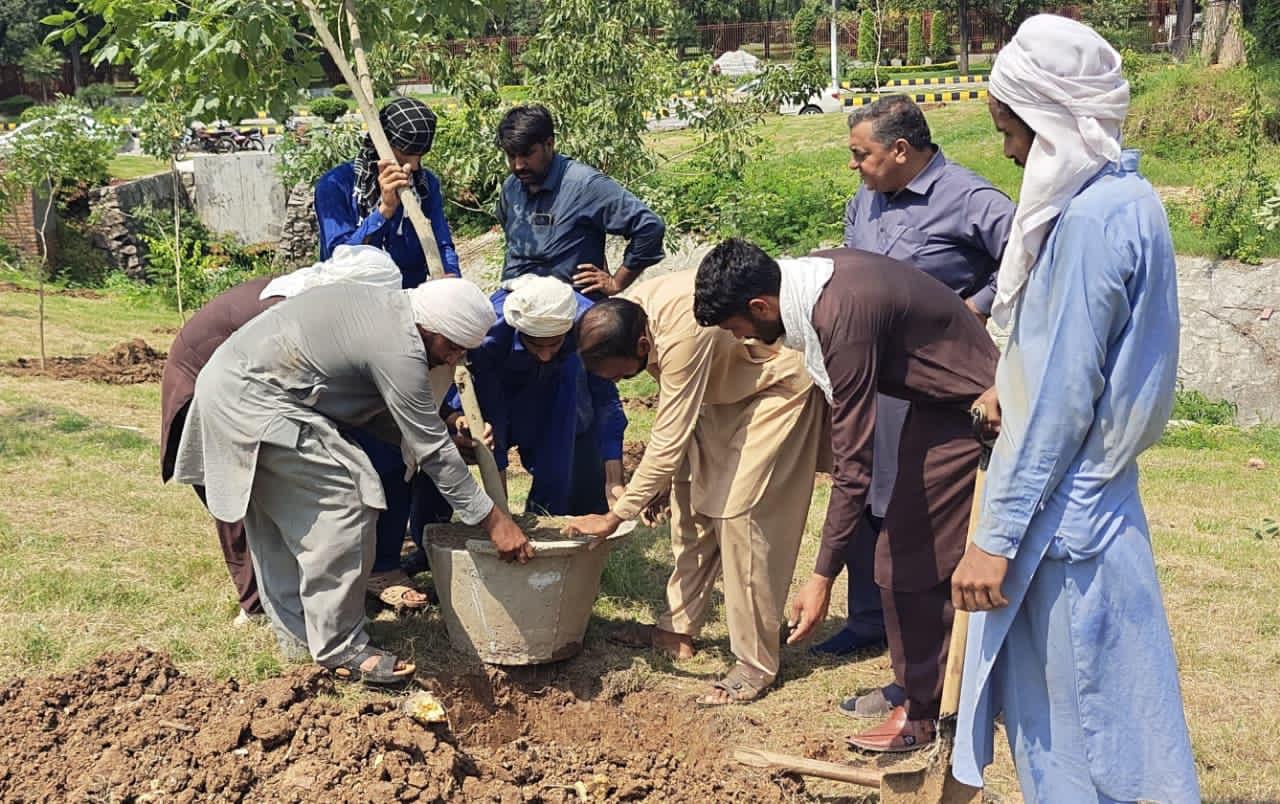 CDA Launches Extensive Plantation Campaign to Make Islamabad Greener, Environment Friendly and More Beautiful Capital of the World